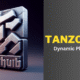 Tanzohub
